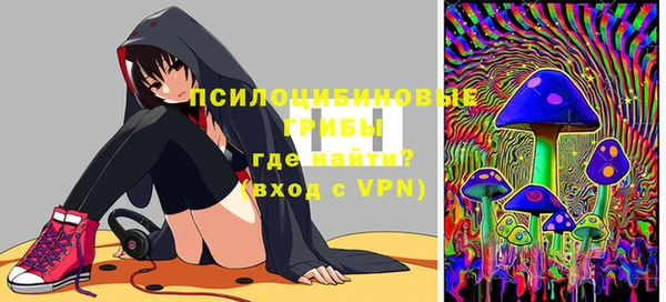 твердый Армянск
