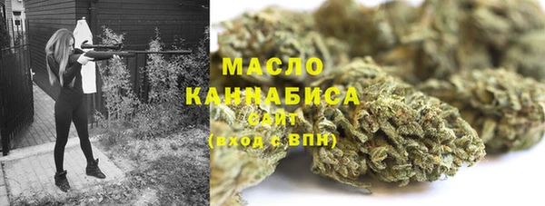 твердый Сатка