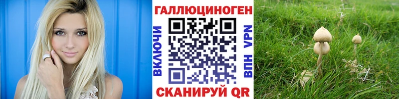 omg ссылка  как найти закладки  Белокуриха  Псилоцибиновые грибы мухоморы 